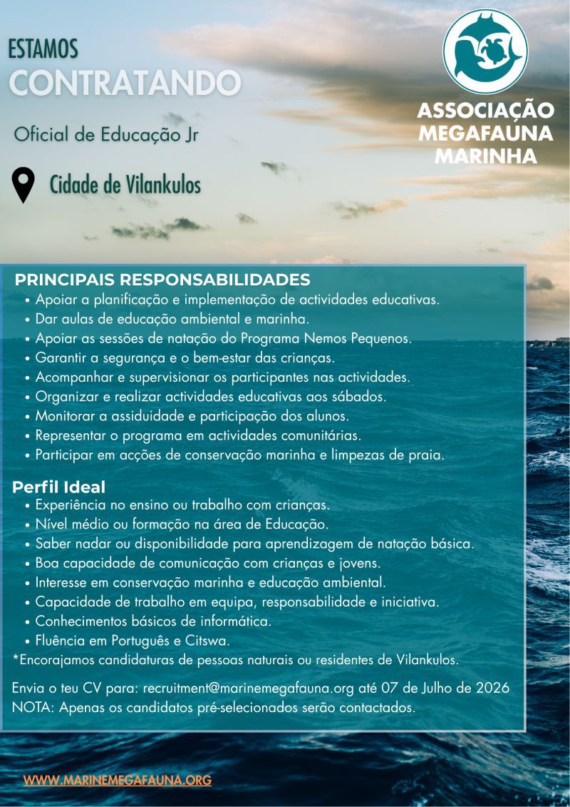 Vaga – Oficial de Educação Jr na Associação Megafauna Marinha